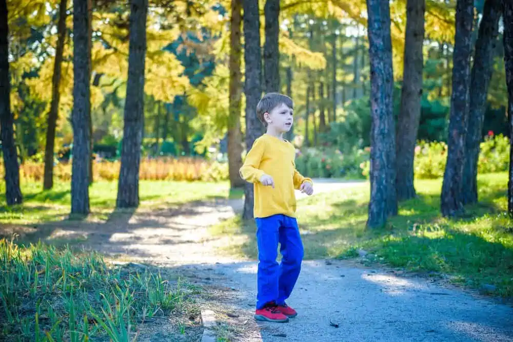 Happy young boy in the autumn park