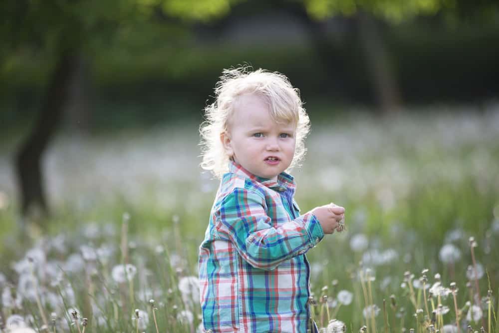 Cute blond little boy standing in meadow