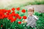 Happy little boy watering tulips in the garden