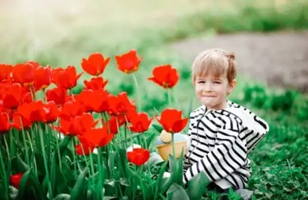 Happy little boy watering tulips in the garden