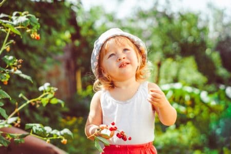 Little girl holding berries and looking at the sky
