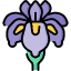 Why Are Irises Associated With Death? Icon
