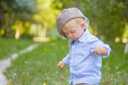 Adorable little boy picking flowers in the park