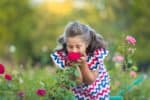 Little girl smelling a rose in the garden