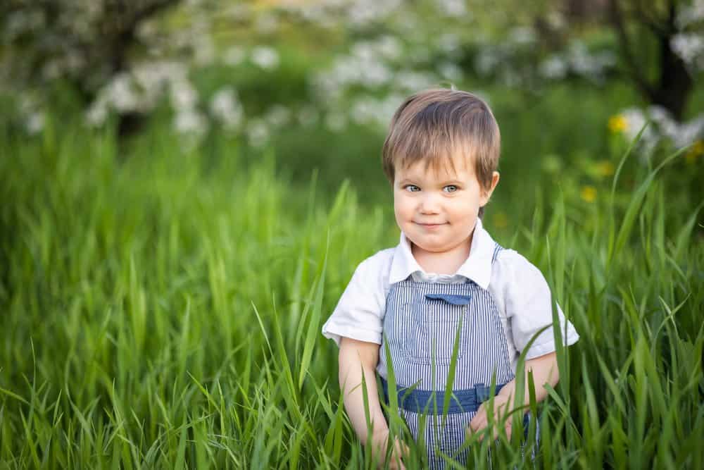Cheerful little boy with blue eyes in overalls standing in green meadow