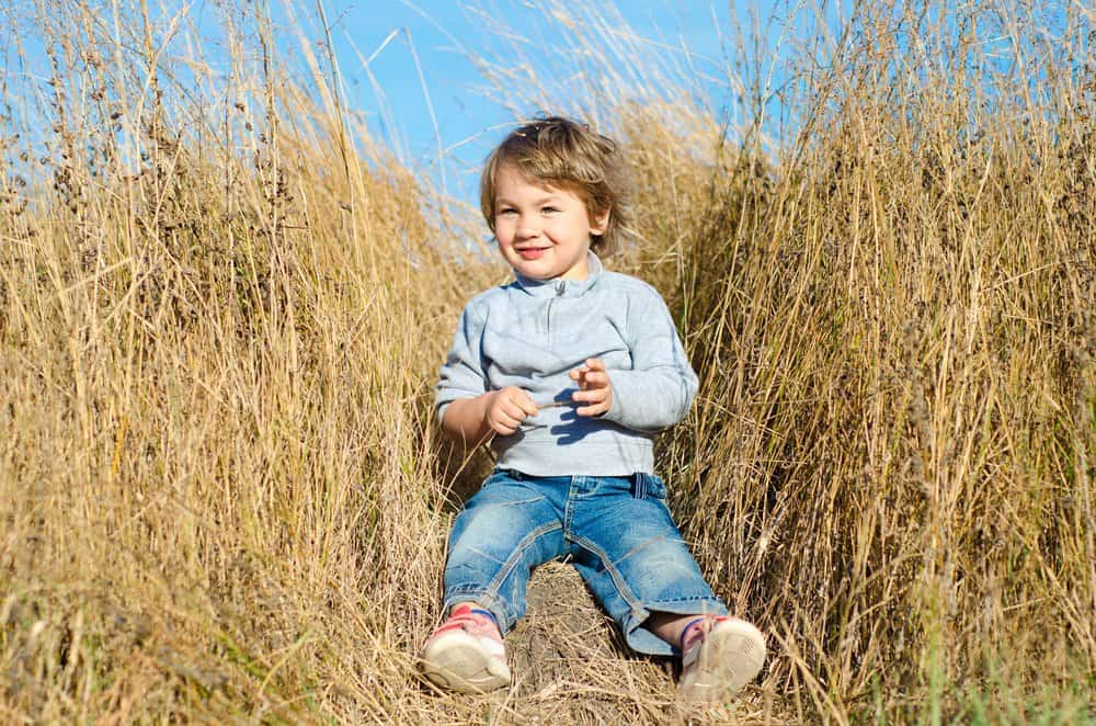 Smiling little boy on rural field