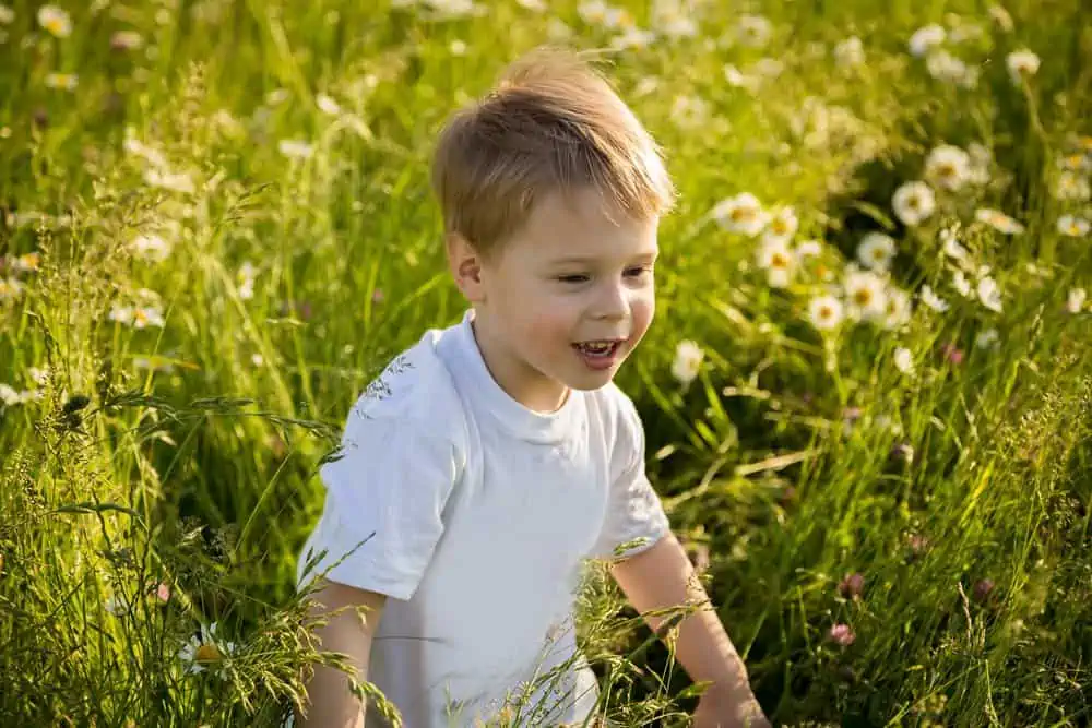 Blonde young boy in meadow