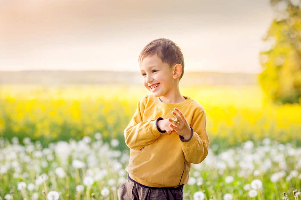 Cheerful little boy in dandelions field