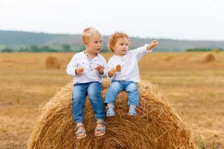 Two cute little boys sitting on round ball of wheat, someone pointing away