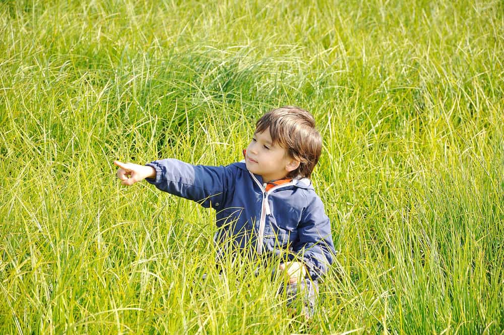 Cute little boy on green beautiful meadow pointing something