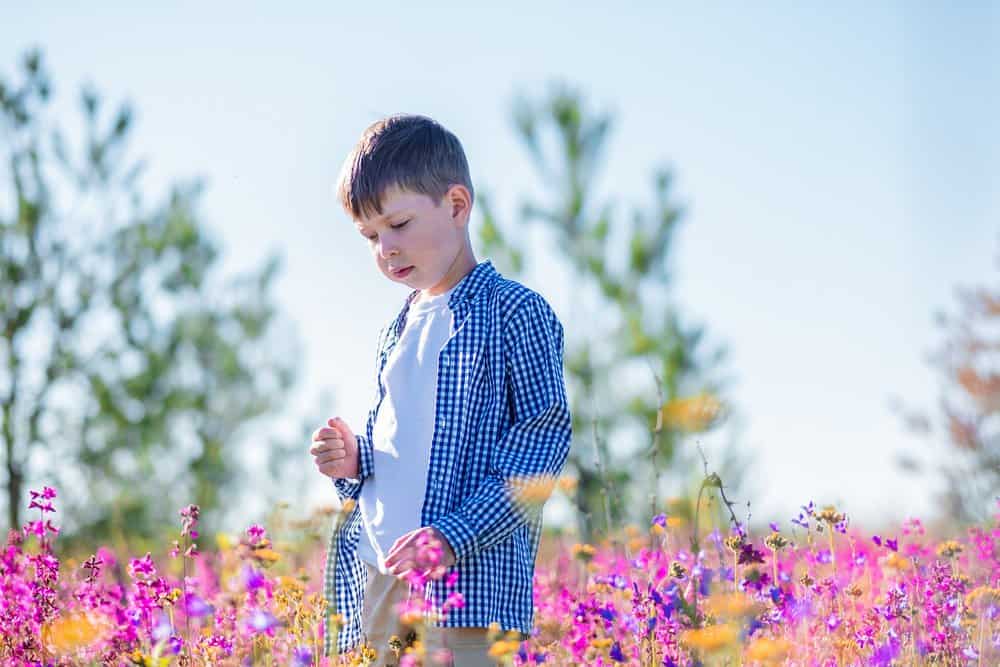 Cute young boy standing in the midst of bright flower field