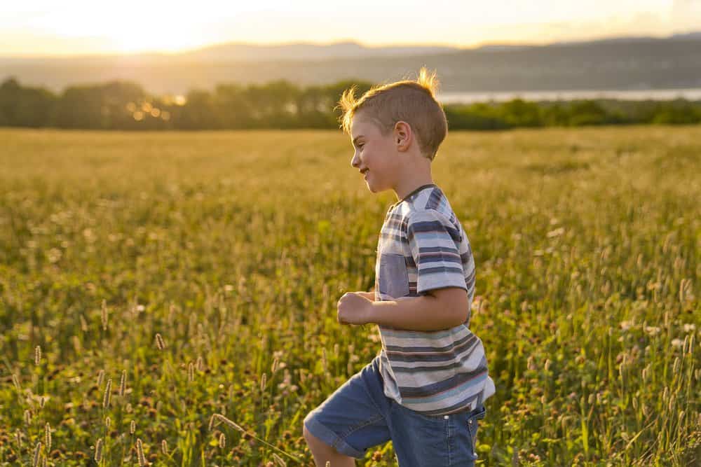 Beautiful little boy in daisy field during sunset hours