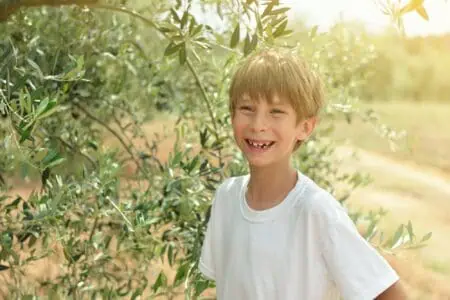 Young cheerful boy in olive trees garden