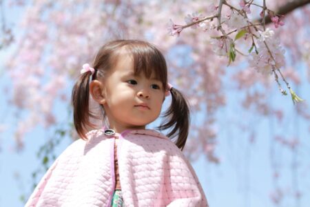 Cute little japanese girl with cherry blossoms in the background