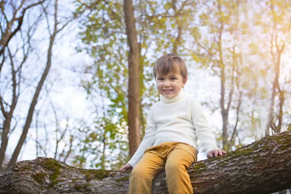 Adorable smiling little boy in the park on sunset sitting on the tree