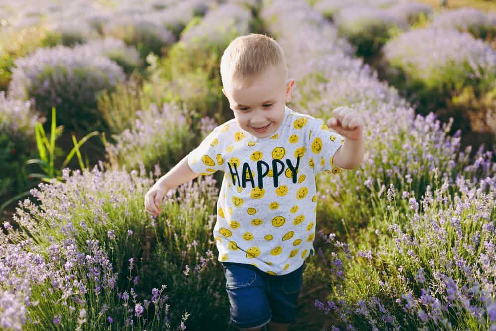 Cheerful little boy walking on lavender field