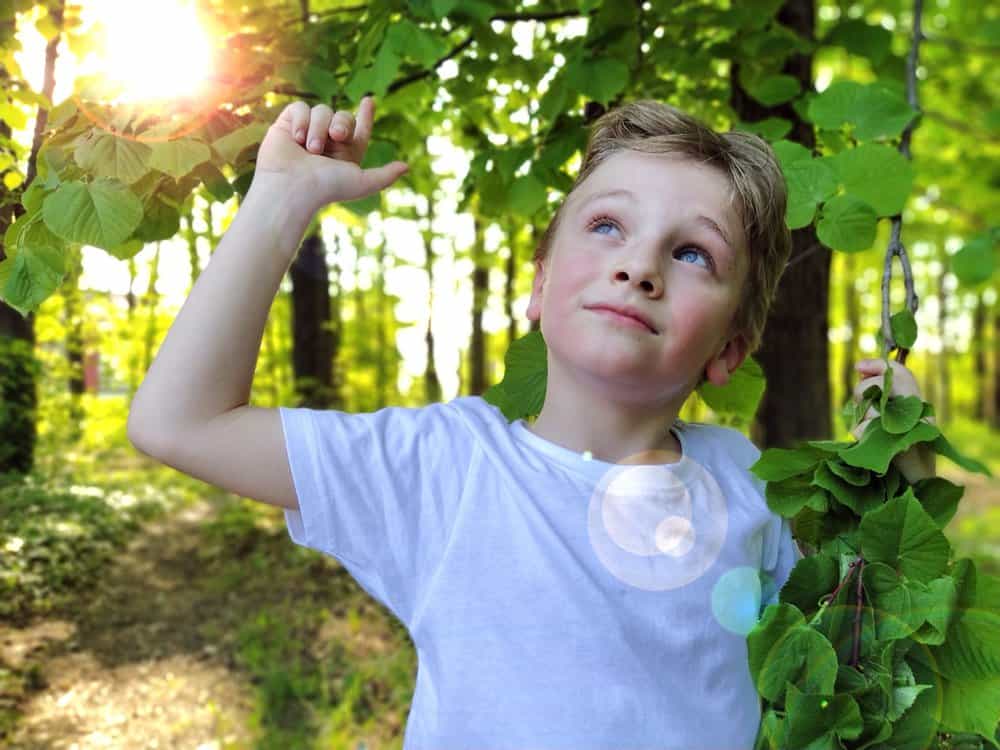 Blonde young boy wearing white t-shirt looking up and holding leaves of a tree in the forest