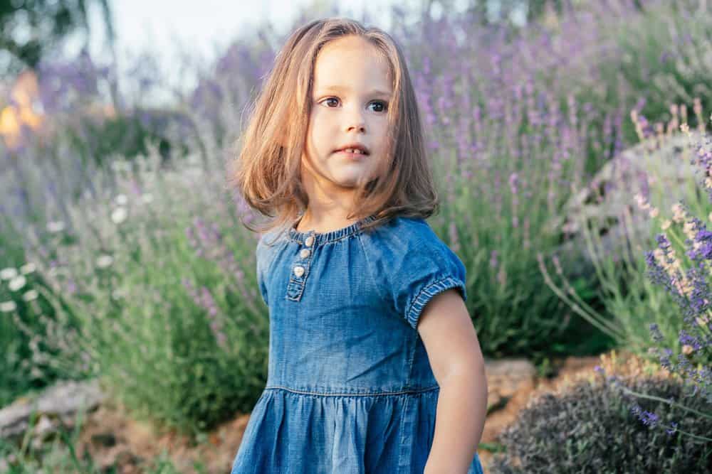Pretty little girl with dark hair in denim dress stands among large bushes of lilac lavender