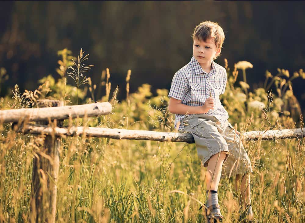 Young boy sitting on tree fence in the meadow