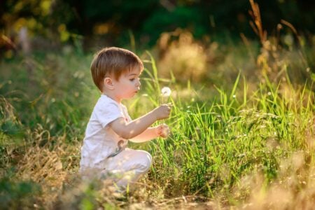 Cute little boy blowing a dandelion in the park