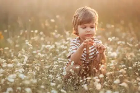 Cute little boy picking camomiles in the field
