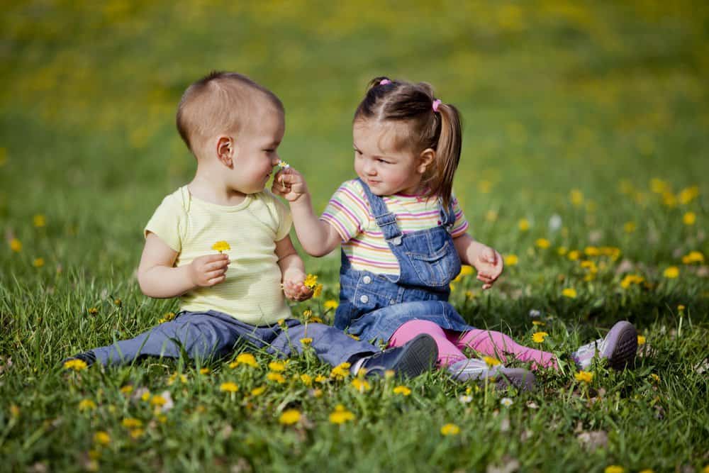 Little boy and girl picking flowers in the field