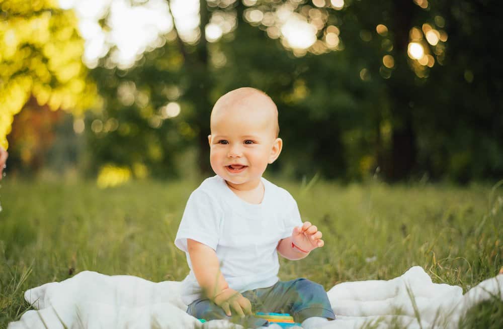 Smiling cute little toddler boy sitting on picnic blanket in the park