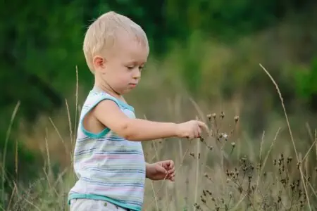 Blonde little boy walking along meadow and touching grass