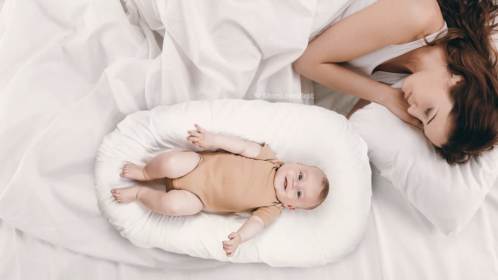 Photo of the JoJo Infant and Toddler Lounger Co-Sleeper