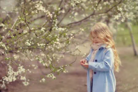Little girl in a blue coat looking at the cherry petals in her hand
