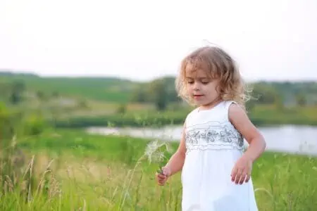 Little girl playing with dandelions in the field