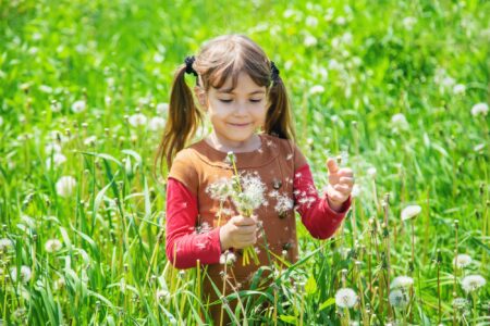 Happy girl picking dandelions in the field