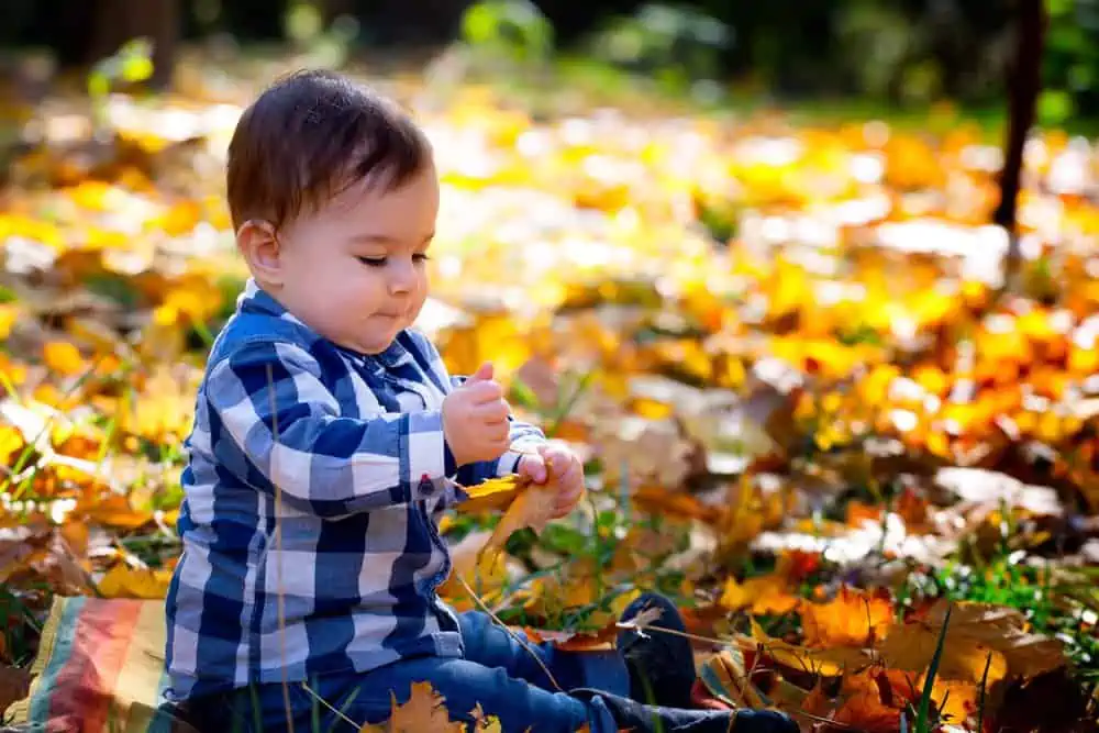 Little boy playing with autumn leaves in the park