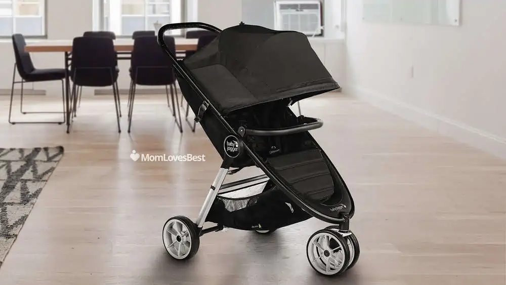 Photo of the Baby Jogger Stroller Foot Muff