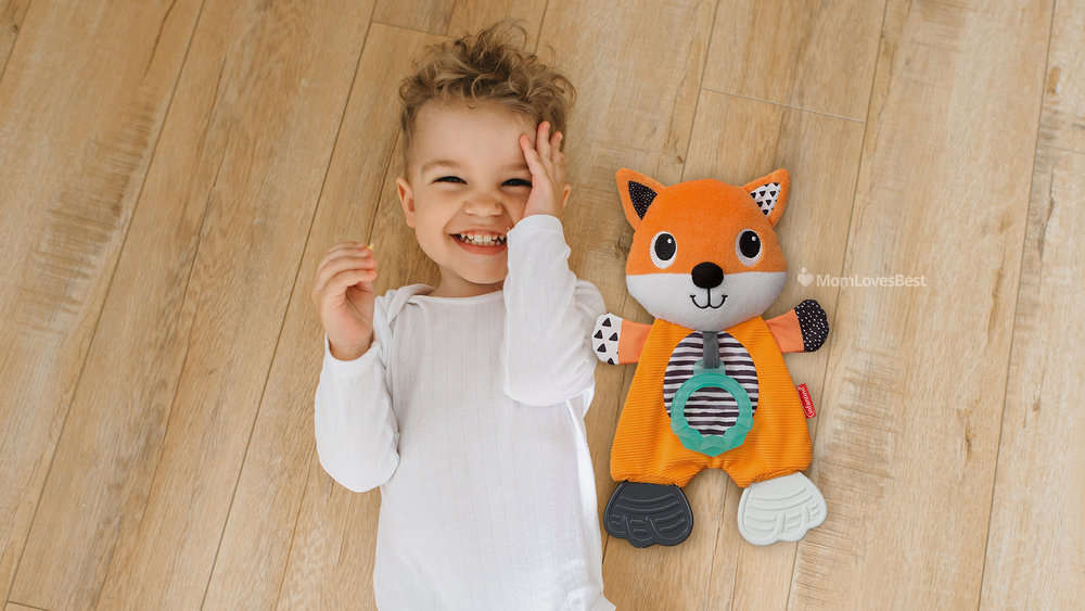 Photo of the Infantino Cuddly Teether Fox