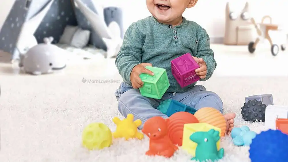 Photo of the Infantino Sensory Balls Blocks & Buddies