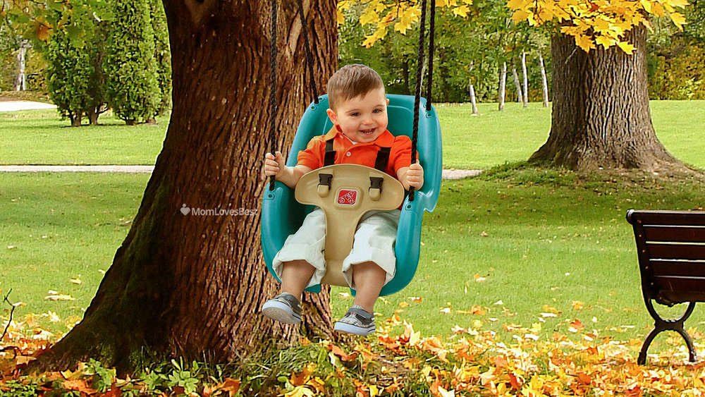 Photo of the Step2 Infant To Toddler Swing Seat