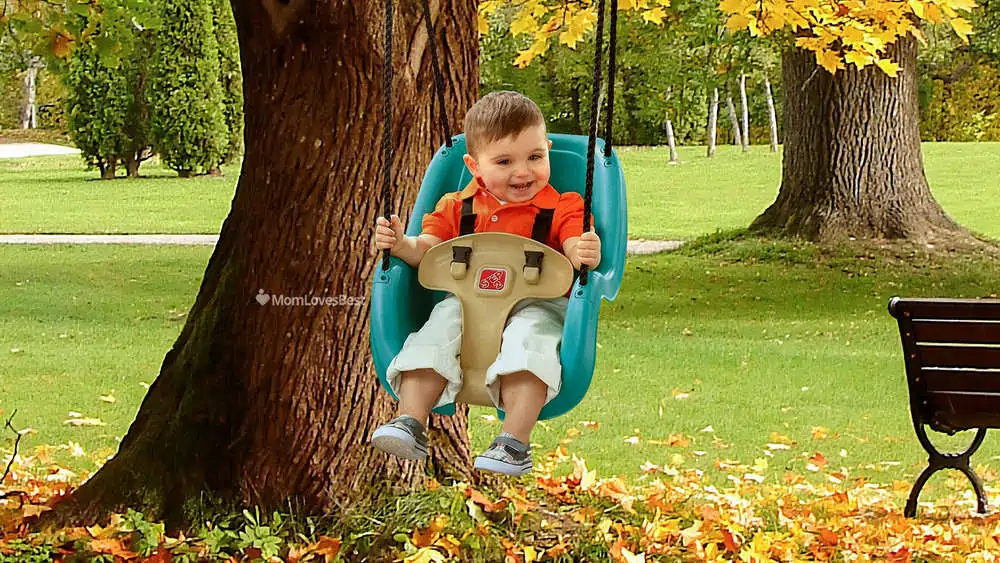 Photo of the Step2 Infant To Toddler Swing Seat