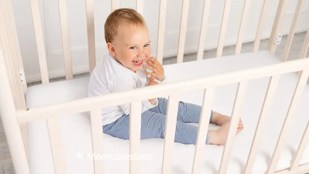 Photo of the Graco Premium Foam Crib and Toddler Mattress
