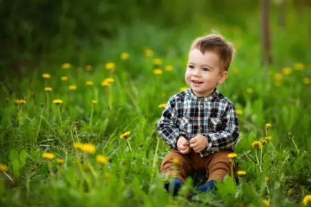 Smiling little boy sitting on the grass.