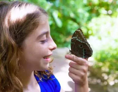 Cute little girl holding a butterfly.