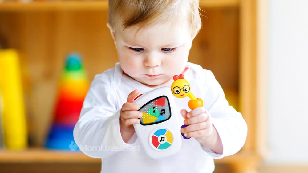 Photo of the Baby Einstein Take Along Tunes Musical Toy