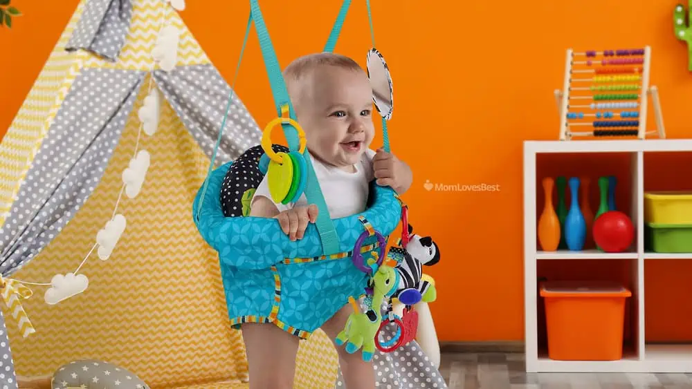 Photo of the Bright Starts Playful Parade Baby Jumper