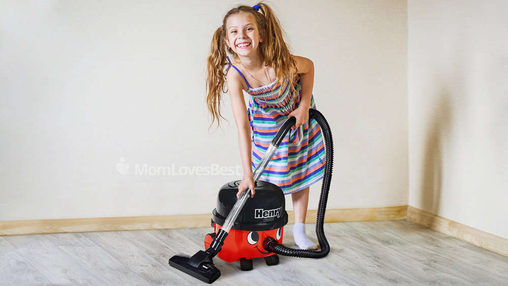 Photo of the Casdon Little Henry Toy Vacuum