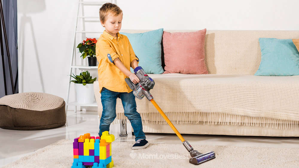 Photo of the Dyson Little Helper Vacuum Cleaner