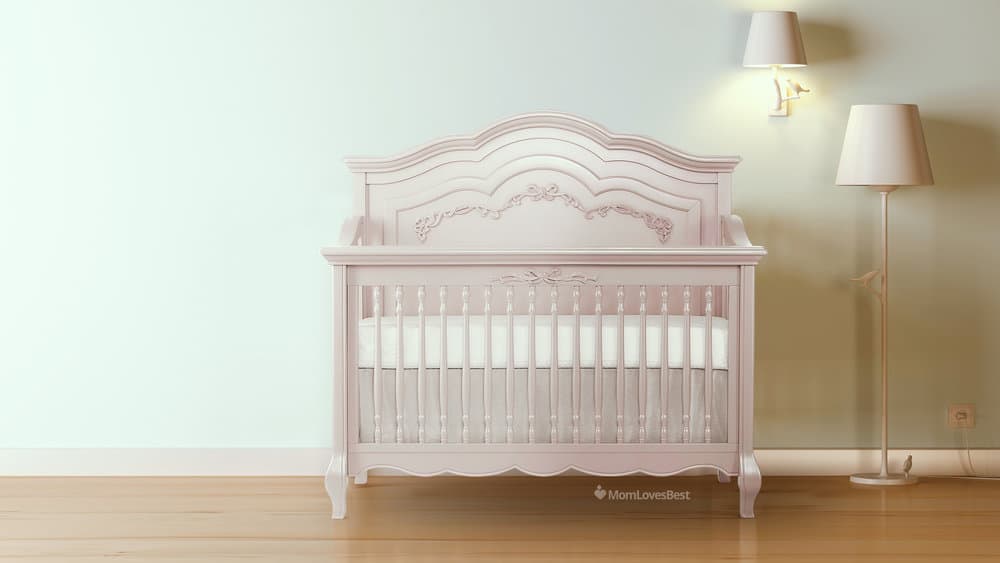 Photo of the Evolur Aurora Crib and Dresser Set