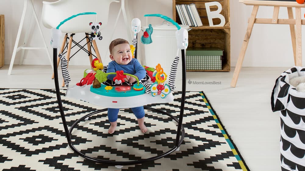Photo of the Fisher-Price Animal Wonders Jumperoo