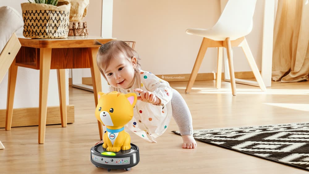 Photo of the Fisher-Price Cat on a Vac