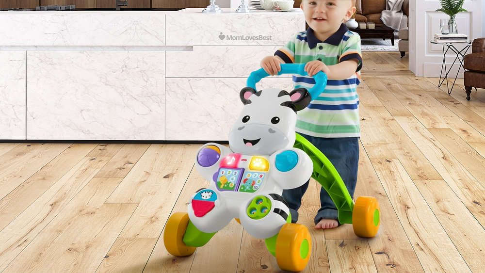 Photo of the Fisher-Price Learn with Me Zebra