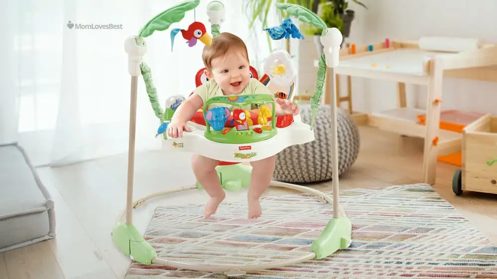 Photo of the Fisher-Price Rainforest Jumperoo